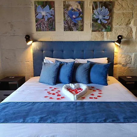 Sea Holly Gozo Nadur